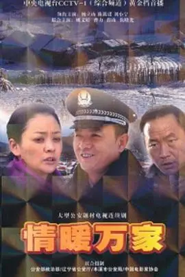 情暖万家 海报