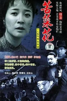 《苦菜花 2004》：烽火岁月中的坚韧女性，致敬那段不能忘却的历史！