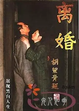 深度解析电影《离婚》：情感的崩塌与重塑，婚姻的真相与救赎